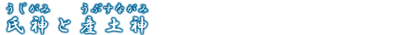 ���_�ƎY�y�_